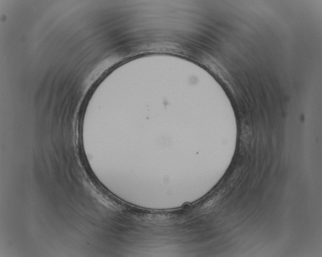 X0000087381082200705181236