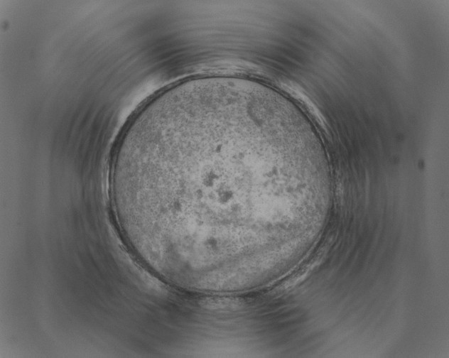 X0000087381083200705181236