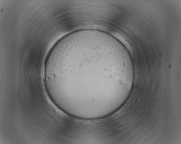 X0000087381084200705181236