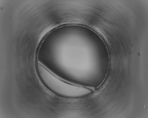 X0000087381085200705181236