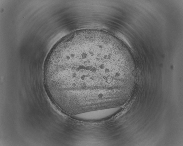 X0000087381087200705181236