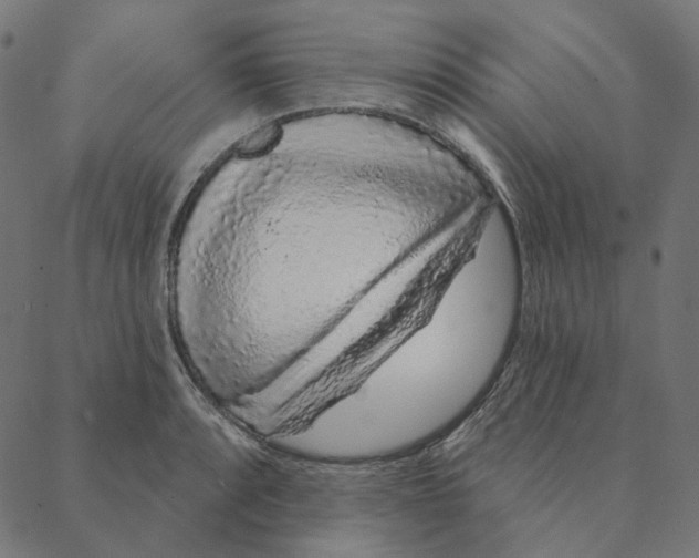 X0000087381088200705181236