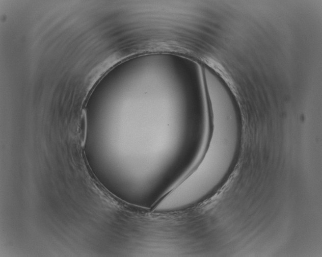 X0000087381089200705181236