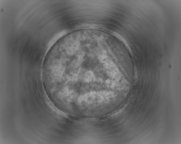 X0000087381090200705181236