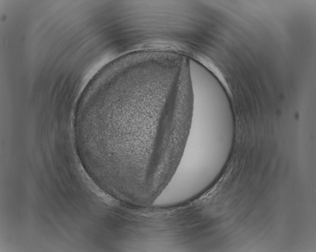 X0000087381091200705181236