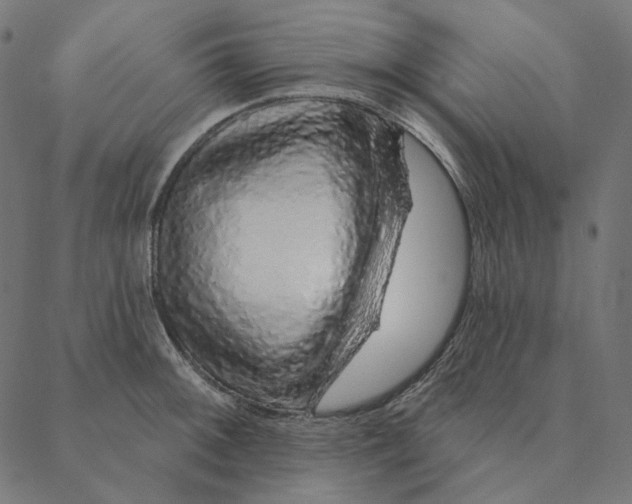 X0000087381092200705181236