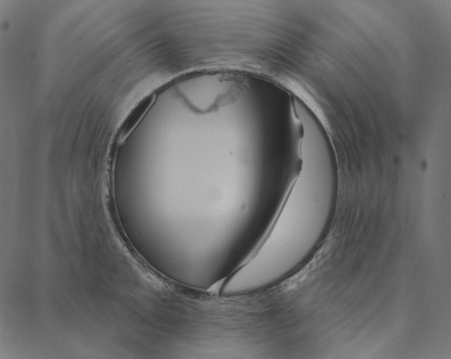 X0000087381093200705181236