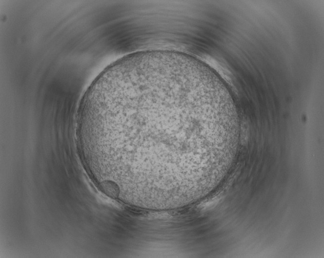 X0000087381094200705181236