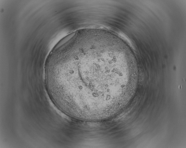 X0000087381095200705181236