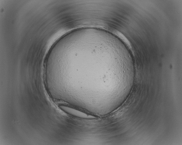 X0000087381096200705181236