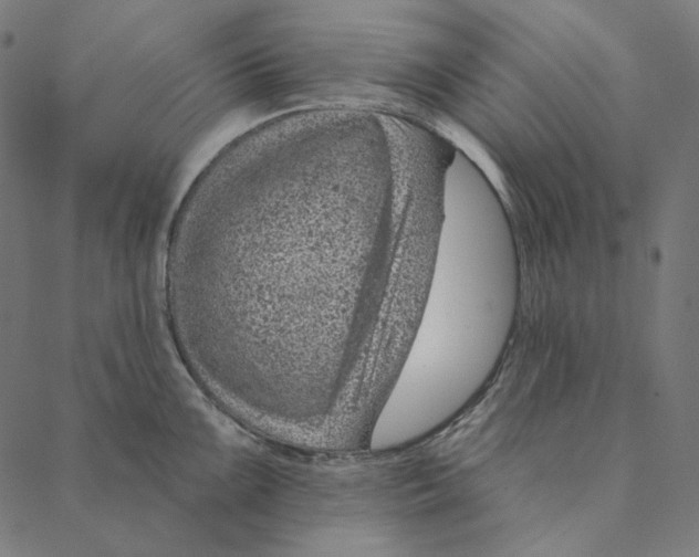 X0000087381099200705181236