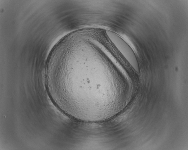 X0000087381100200705181236