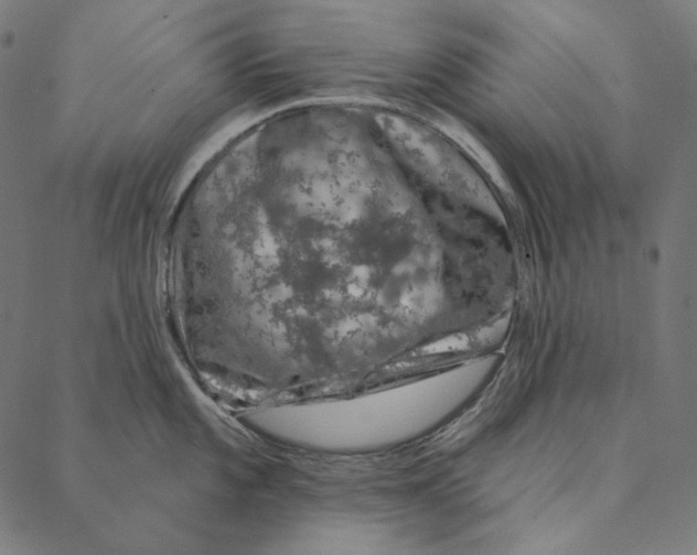 X0000087381101200705181236