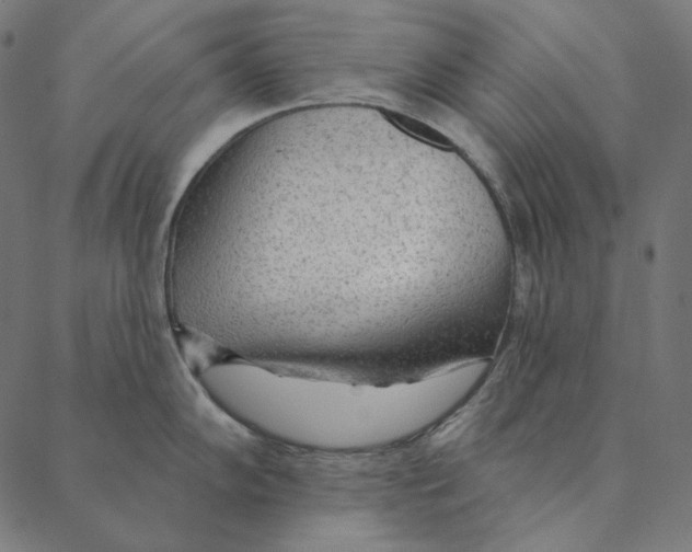 X0000087381102200705181236