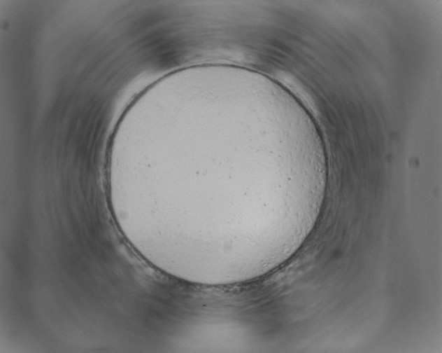 X0000087381104200705181236