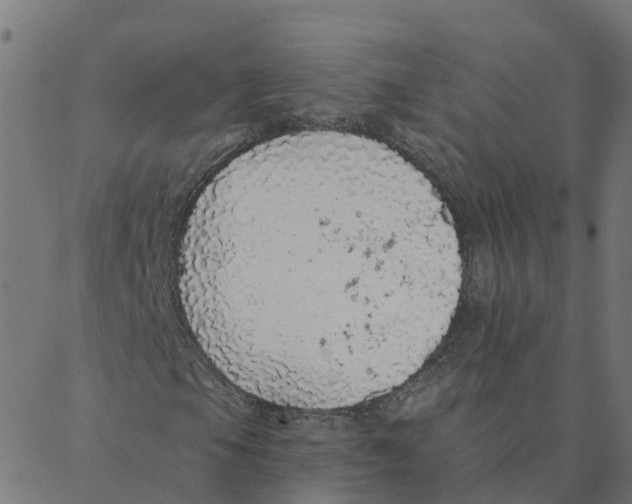 X0000087381105200705181235