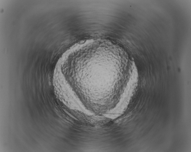 X0000087381106200705181235