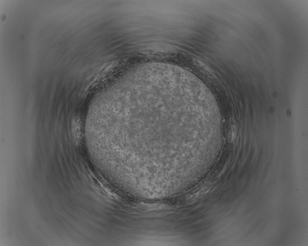 X0000087381108200705181235