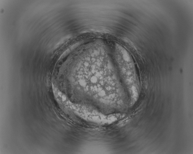 X0000087381110200705181235