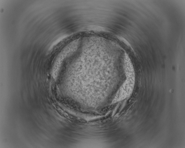 X0000087381112200705181235