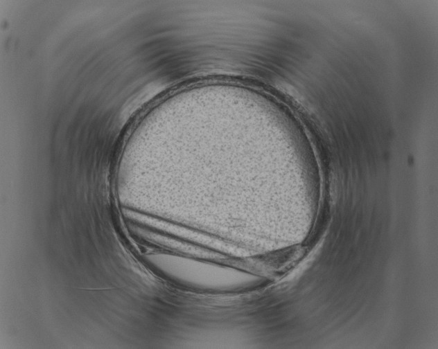 X0000087381113200705181235