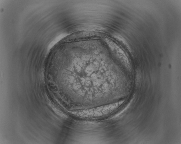 X0000087381114200705181235