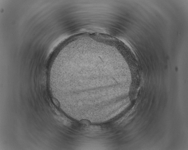 X0000087381115200705181235