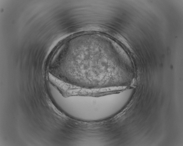 X0000087381116200705181235