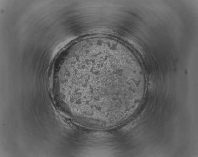 X0000087381117200705181235