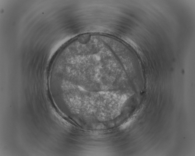 X0000087381120200705181235