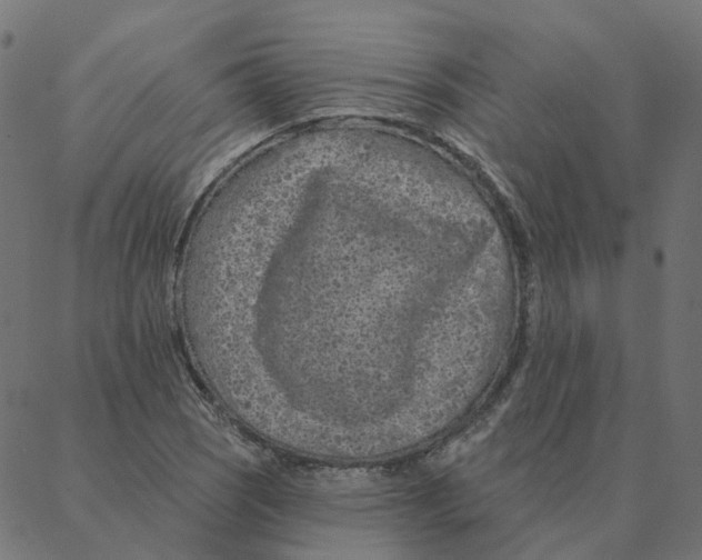 X0000087381121200705181235