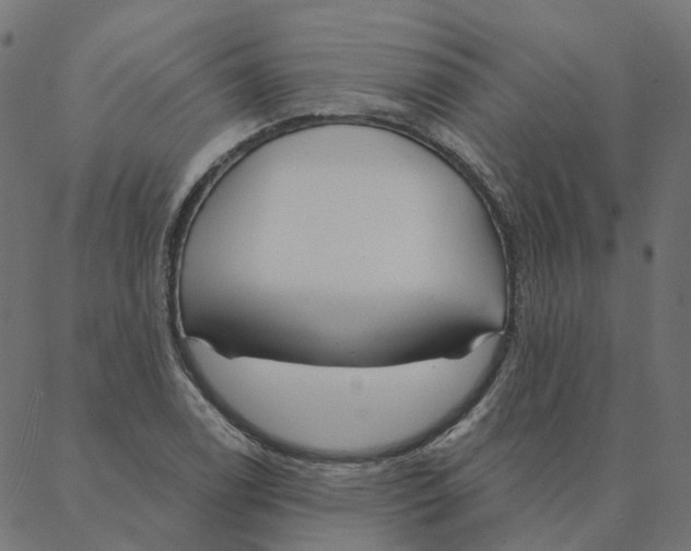 X0000087381122200705181235