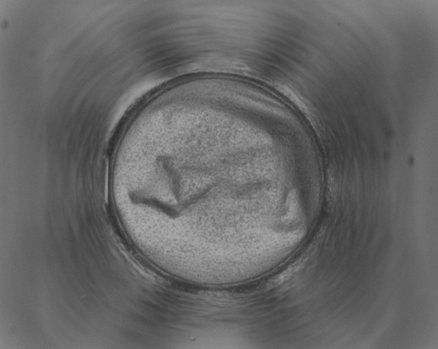 X0000087381123200705181235