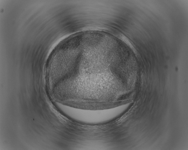 X0000087381124200705181235