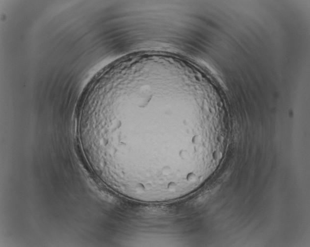 X0000087381125200705181235