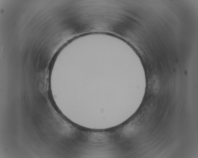 X0000087381126200705181235