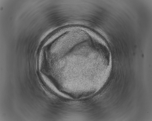 X0000087381127200705181235