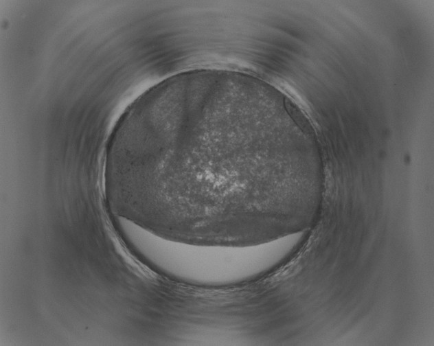 X0000087381128200705181235