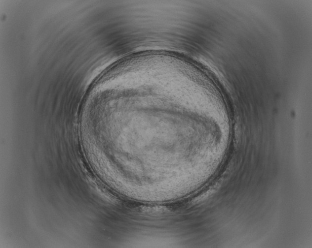 X0000087381129200705181235