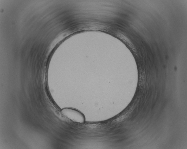 X0000087381130200705181235