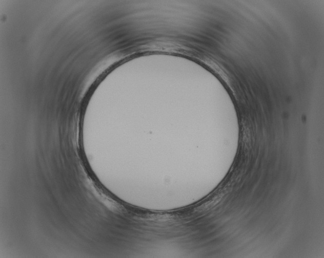 X0000087381131200705181235