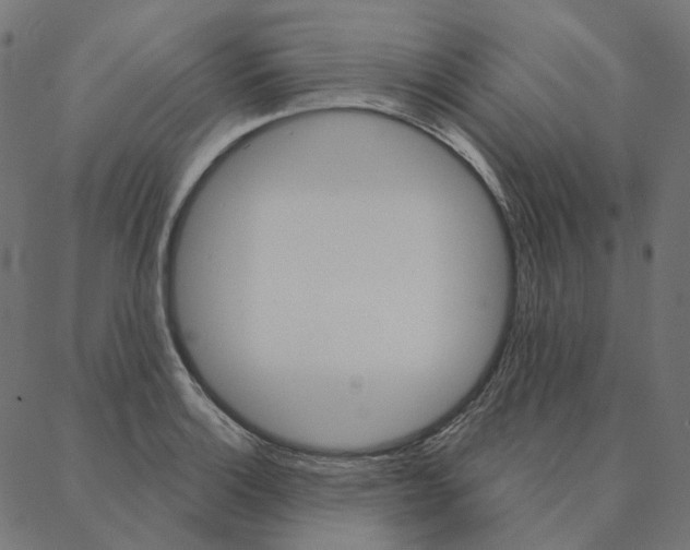 X0000087381132200705181235