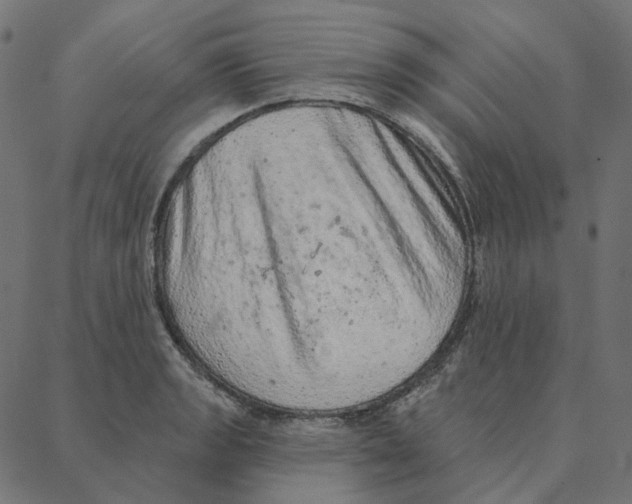 X0000087381133200705181235