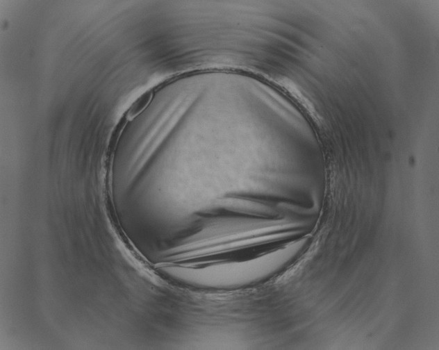 X0000087381134200705181235