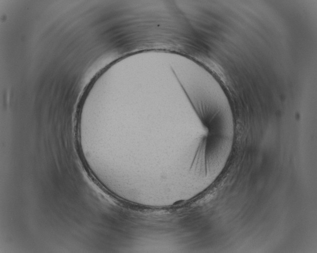 X0000087381135200705181235