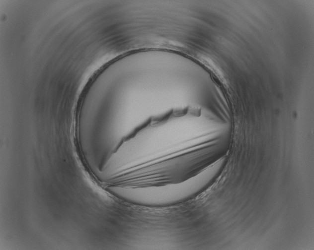 X0000087381136200705181235