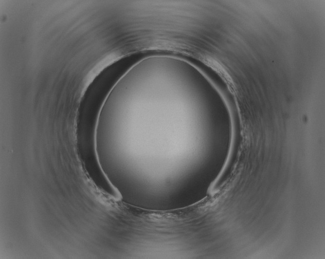 X0000087381138200705181236