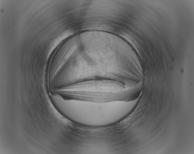 X0000087381139200705181236