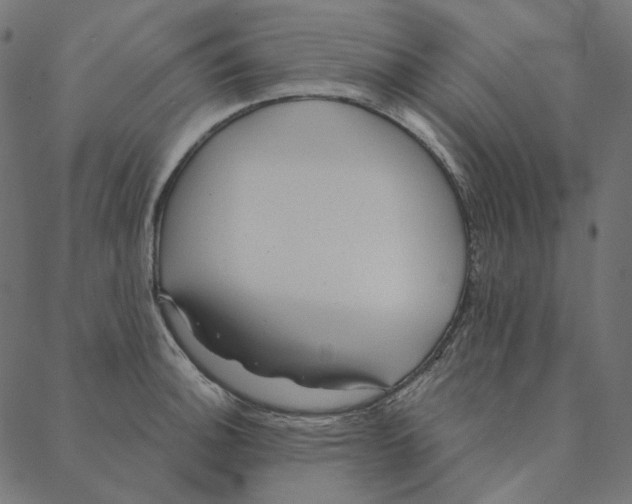 X0000087381140200705181236