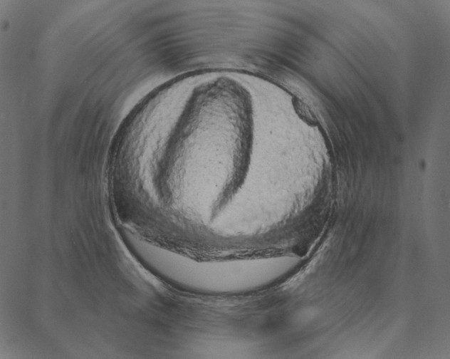 X0000087381141200705181236